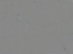 Fresh chick got down on her knees to suck a black guy's dick, before having a threesome